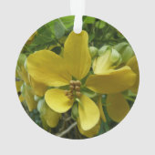 Arbre à Pluie Dorée Fleur Tropicale Jaune (dos)