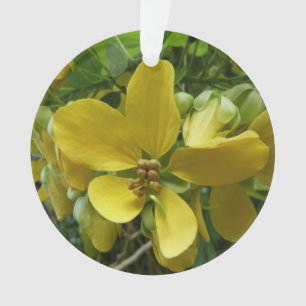 Arbre à Pluie Dorée Fleur Tropicale Jaune