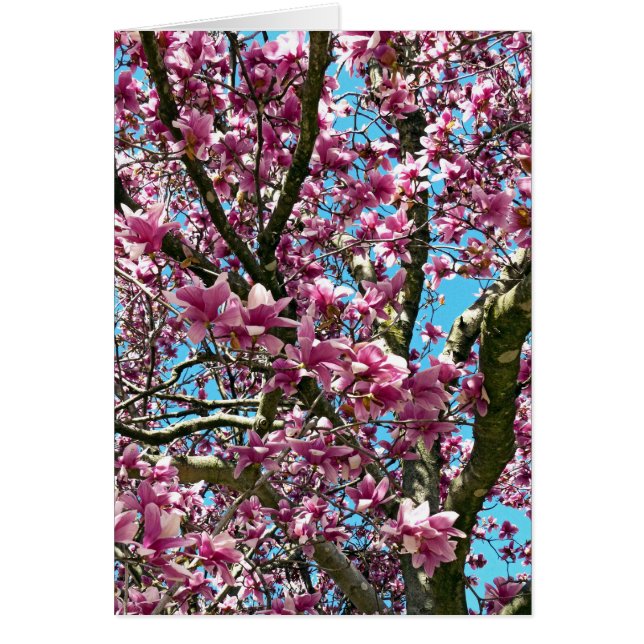 Arbre à tulipes (Devant)