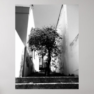 "Arbre affiche d'art de JTG à Cape Town"