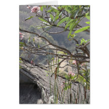 Arbre au-dessus d'un toit couvert de chaume -