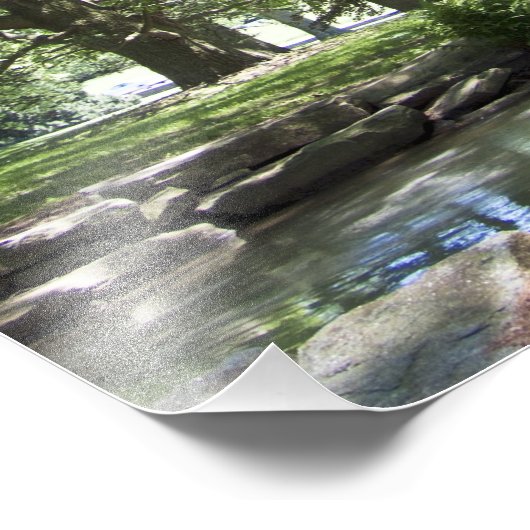 Arbre au printemps 20" x 16" Impression photo (Coin)