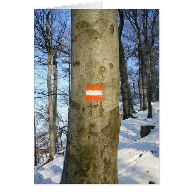 arbre australien (Devant)