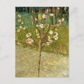 Arbre aux amandes en fleurs Vincent van Gogh Carte (Devant)