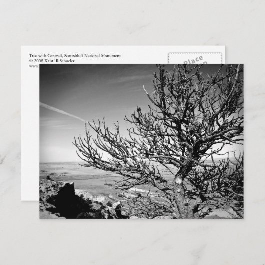 Arbre avec carte postale Contrail (Devant / Derrière)
