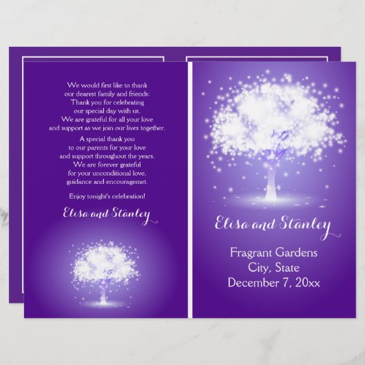 Arbre avec lumières scintillantes programme de mar (Devant / Derrière)