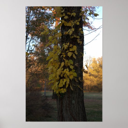 Arbre avec Poster Feuille Jaune (Devant)