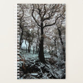 Arbre, avec racines (Devant)