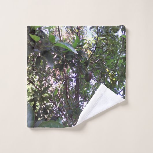 Arbre Avocado (Gant de toilette)