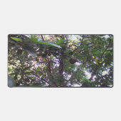 Arbre Avocado (Recto)