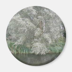 Arbre blanc et aimant paysage fluvial
