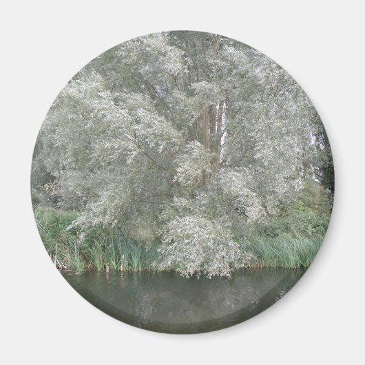 Arbre blanc et aimant paysage fluvial (Devant)