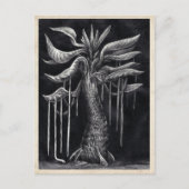 Arbre Carnivore - Carte postale (Devant)