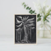Arbre Carnivore - Carte postale (Debout devant)