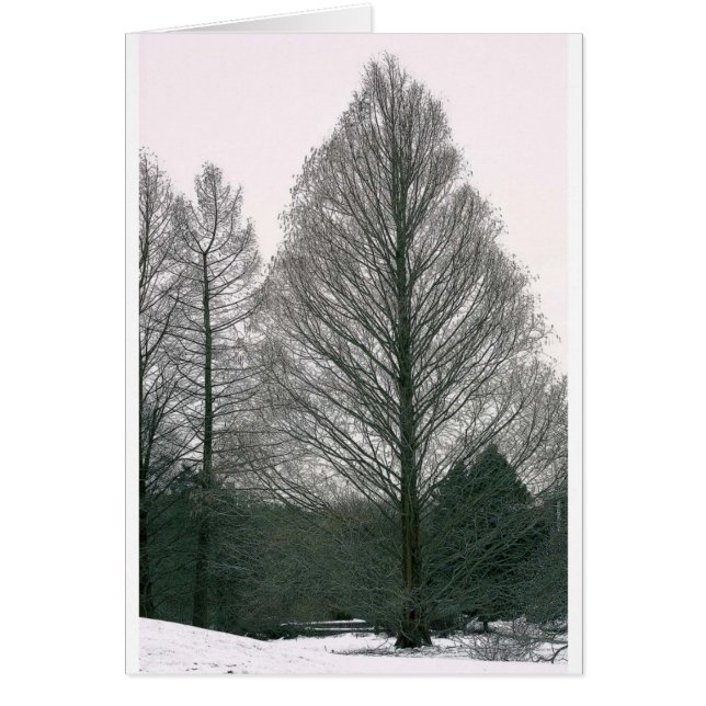 Arbre - colline NYC de vague (Devant)