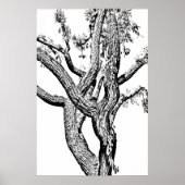 Arbre courbé en Poster noir et blanc (Devant)