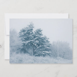 Arbre couvert de neige Carte photo de la nature hi