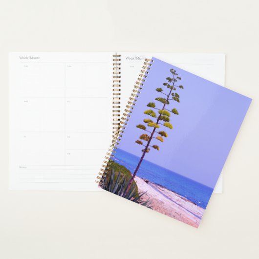 Arbre d'agave - (Devant avec enveloppe)