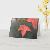 Arbre d'ambre liquide - Carte de voeux vierge (Fleur jaune)