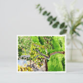 Arbre dans la carte postale au printemps (Debout devant)