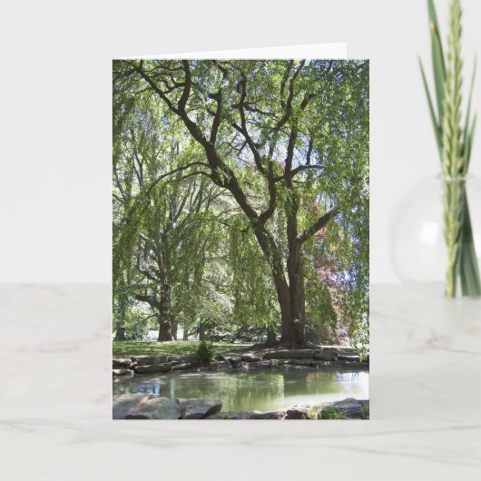 Arbre dans la carte Spring (Devant)