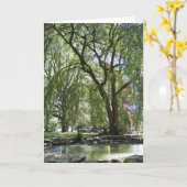 Arbre dans la carte Spring (Fleur jaune)