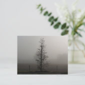 Arbre dans le brouillard 038 carte postale (Debout devant)