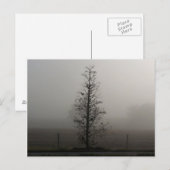 Arbre dans le brouillard 038 carte postale (Devant / Derrière)