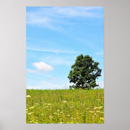 Arbre dans une affiche de campagne (Devant)