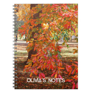 Arbre d'automne coloré Carnet personnalisé