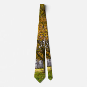 Arbre D'Automne Et Grange Cravate