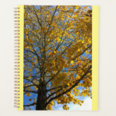 Arbre d'automne jaune (Devant)