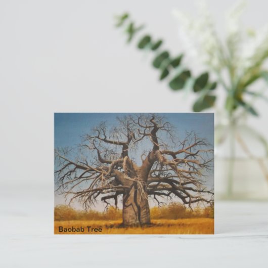 Arbre de baobab de carte postale (Debout devant)