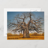 Arbre de baobab de carte postale (Devant / Derrière)