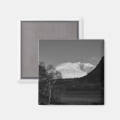 Arbre de bouleau et aimant Blencathra (Recto/Verso)