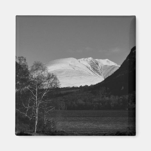 Arbre de bouleau et aimant Blencathra (Devant)