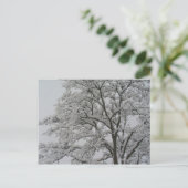 Arbre de chêne dans la carte postale de neige (Debout devant)