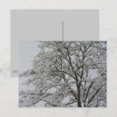Arbre de chêne dans la carte postale de neige (Devant / Derrière)