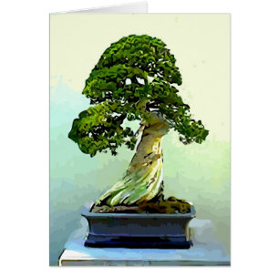 Arbre de Cypress de bonsaïs