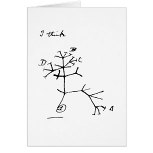 Arbre de Darwin