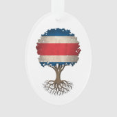 Arbre de drapeau de Rican de côte de la vie (devant)