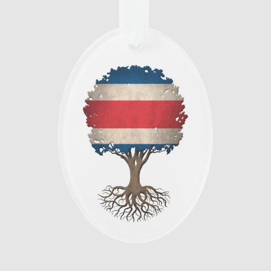 Arbre de drapeau de Rican de côte de la vie (devant)