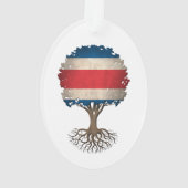 Arbre de drapeau de Rican de côte de la vie (dos)
