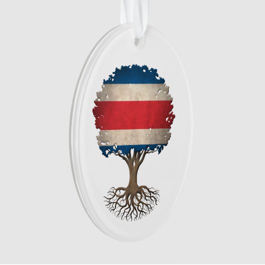 Arbre de drapeau de Rican de côte de la vie (devant)