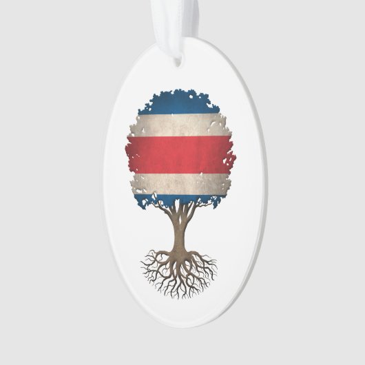 Arbre de drapeau de Rican de côte de la vie (devant)