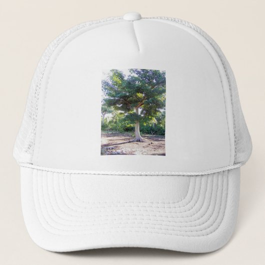 Arbre de la sagesse casquette (Devant)
