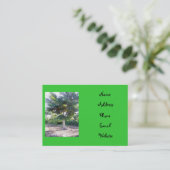 Arbre de la sagesse des cartes de visite (Debout devant)