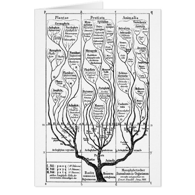 Arbre de la vie (Devant)