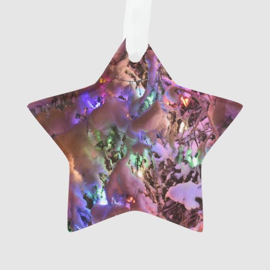 Arbre de Noël de Juneau Alaska (dos)