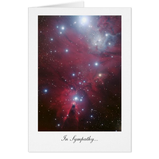 Arbre de Noël - En Sympathie (Devant)